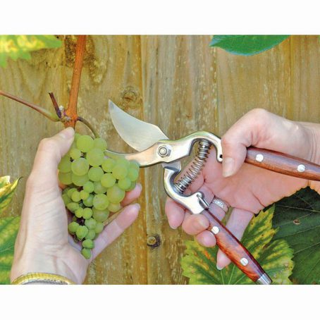 Draper - Bypass Pattern Secateur Wood Handle 210mm - Image 2