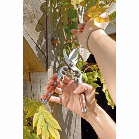 Draper - Bypass Pattern Secateur Wood Handle 210mm - Image 3