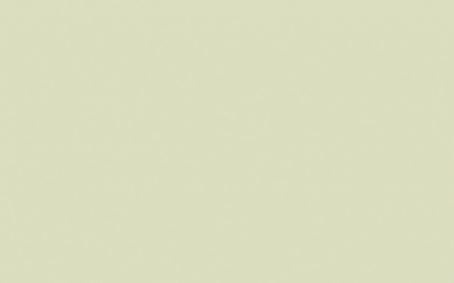 Little Greene Paint Tester - Acorn #87