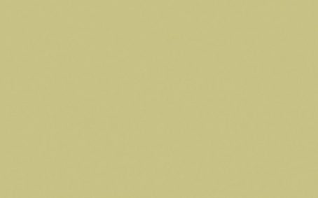 Little Greene Paint Tester - Apple #137