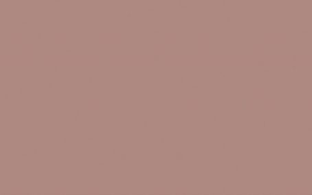 Little Greene Paint Tester - Blush #267