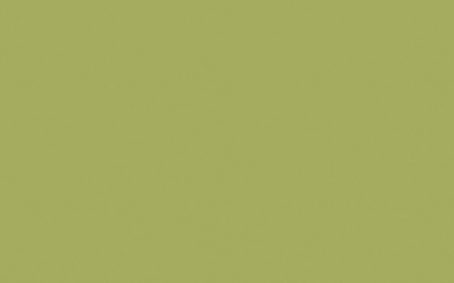 Little Greene Paint Tester - Boxington #84