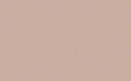 Little Greene Paint Tester - China Clay Dark #178