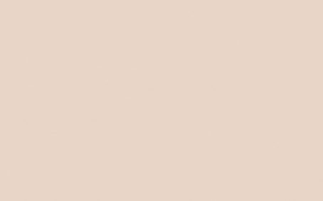 Little Greene Paint Tester - China Clay Mid #176