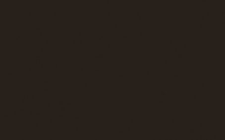 Little Greene Paint Tester - Chocolate Colour #124