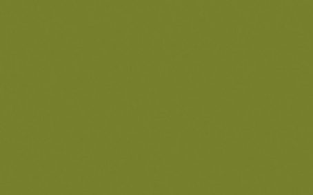 Little Greene Paint Tester - Citrine #71