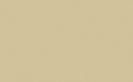 Little Greene Paint Tester - Clay #39
