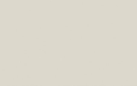 Little Greene Paint Tester - Flint #236