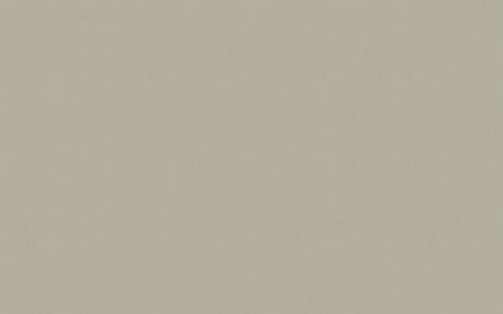 Little Greene Paint Tester - French Grey Dark #163