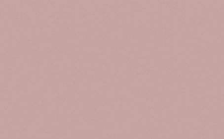 Little Greene Paint Tester - Hellebore #275