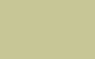 Little Greene Paint Tester – Kitchen Green #85