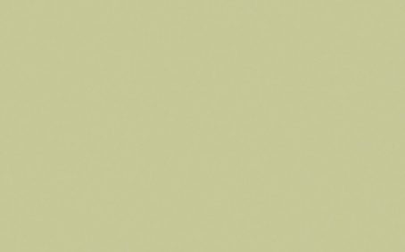 Little Greene Paint Tester - Kitchen Green #85