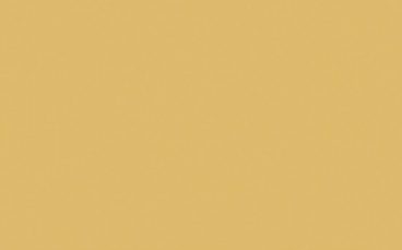 Little Greene Paint Tester – Light Gold #53