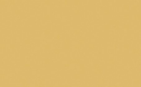 Little Greene Paint Tester - Light Gold #53