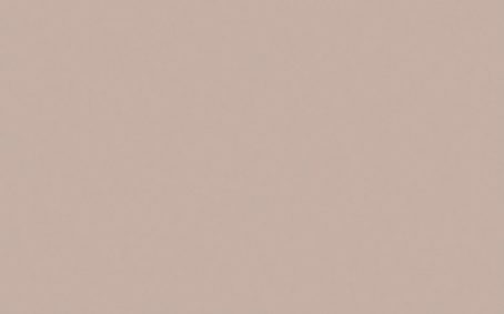Little Greene Paint Tester - Light Peachblossom #3