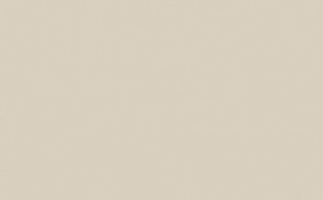 Little Greene Paint Tester - Limestone #238