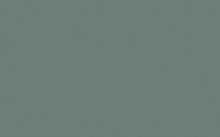 Little Greene Paint Tester - Livid #263