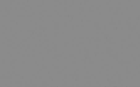 Little Greene Paint Tester - Mid Lead #114
