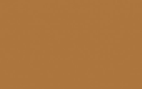 Little Greene Paint Tester - Middle Buff #122