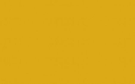 Little Greene Paint Tester - Mister David #47