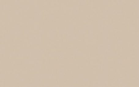 Little Greene Paint Tester - Mushroom #142