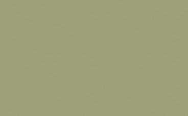 Little Greene Paint Tester – Normandy Grey #79