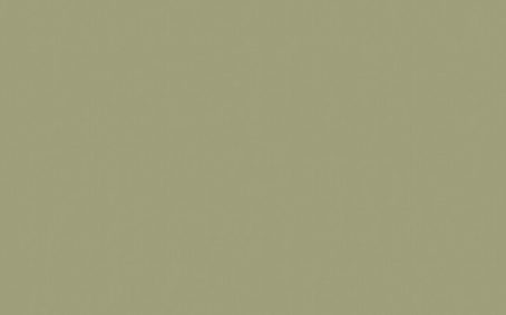 Little Greene Paint Tester - Normandy Grey #79