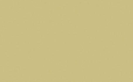 Little Greene Paint Tester - Oak Apple #63