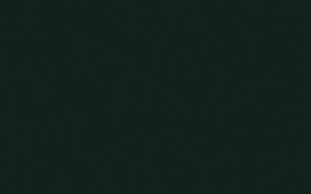 Little Greene Paint Tester - Obsidian Green #216