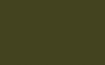 Little Greene Paint Tester – Olive Colour #72