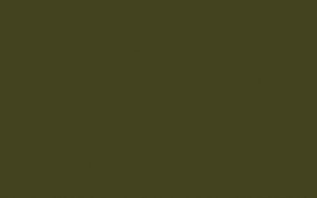Little Greene Paint Tester - Olive Colour #72