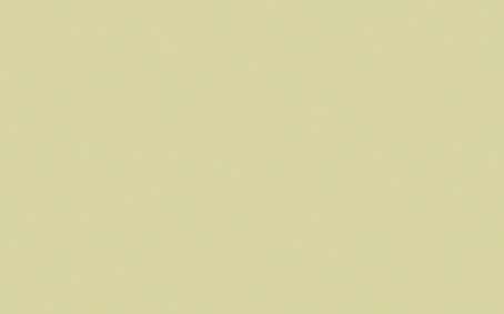 Little Greene Paint Tester - Olive Oil #83