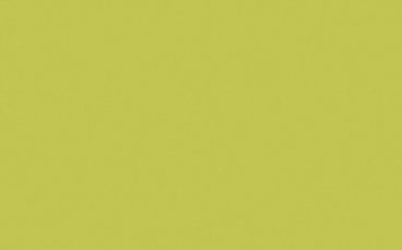 Little Greene Paint Tester – Pale Lime #70