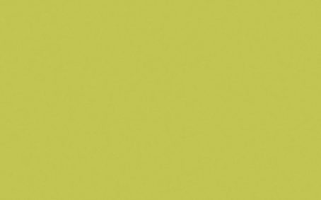 Little Greene Paint Tester - Pale Lime #70