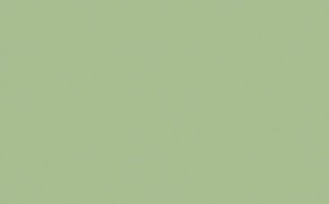 Little Greene Paint Tester – Pea Green #91