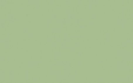 Little Greene Paint Tester - Pea Green #91