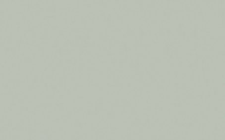 Little Greene Paint Tester - Pearl Colour Dark #169