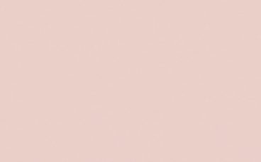 Little Greene Paint Tester – Pink Slip #220