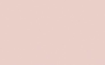 Little Greene Paint Tester – Pink Slip #220