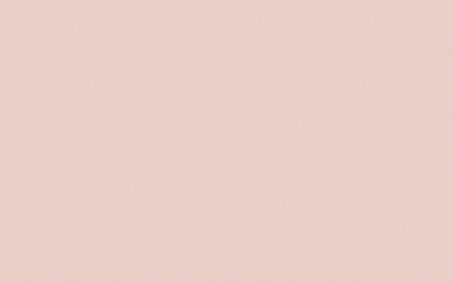 Little Greene Paint Tester - Pink Slip #220
