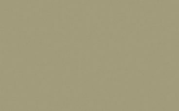 Little Greene Paint Tester – Portland Stone Dark #157