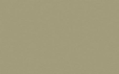 Little Greene Paint Tester - Portland Stone Dark #157