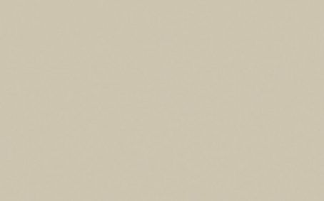 Little Greene Paint Tester - Rolling Fog #143
