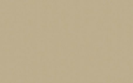 Little Greene Paint Tester - Roman Plaster #31