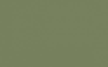 Little Greene Paint Tester – Sage Green #80