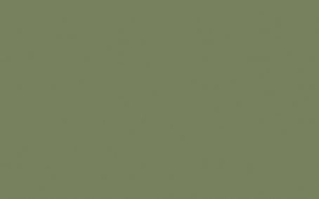 Little Greene Paint Tester - Sage Green #80
