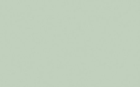 Little Greene Paint Tester - Salix #99