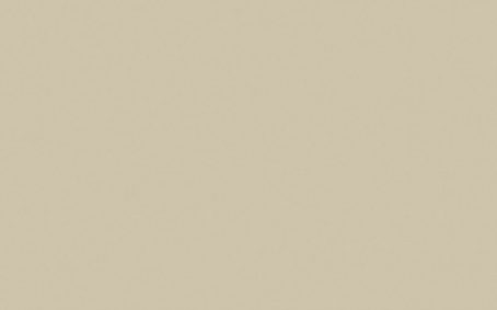 Little Greene Paint Tester - Slaked Lime Deep #150
