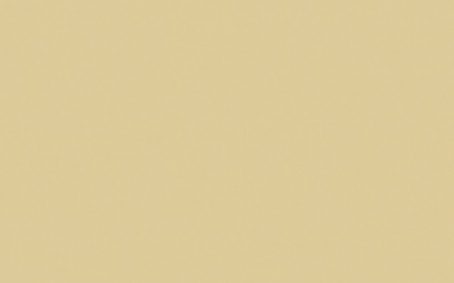 Little Greene Paint Tester - Stock Dark #175