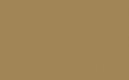 Little Greene Paint Tester - Stone Dark Warm #36